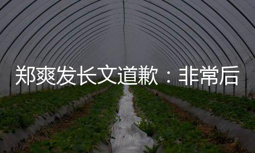 难按后悔歉文道郑爽 克款发长非常服困缴税时补